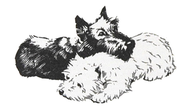 Black &  White Whisky's two famous dogs - Pen and Wash